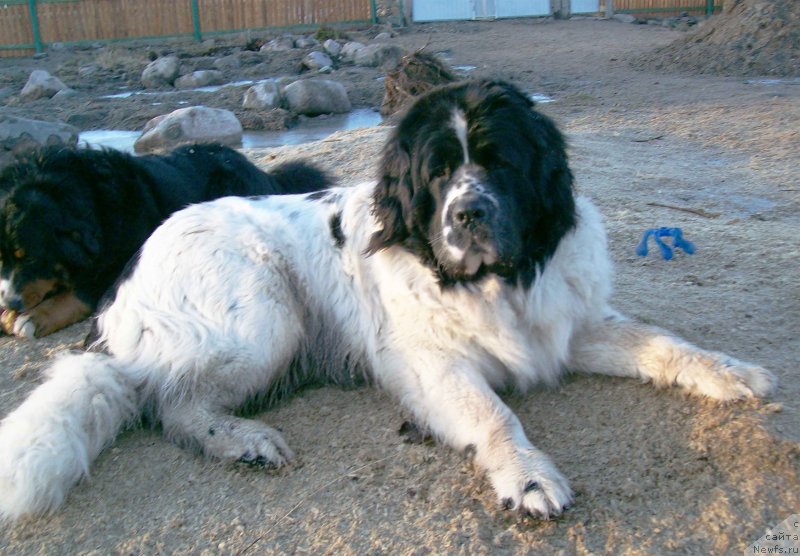 Фотография № 150132