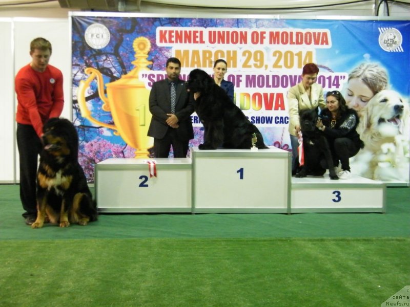 Фотография № 150141