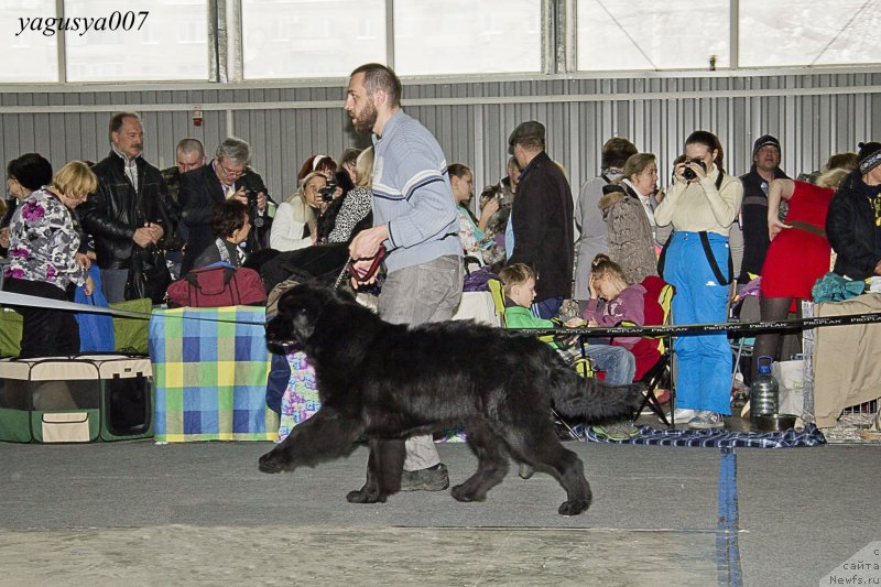 Фотография № 150142