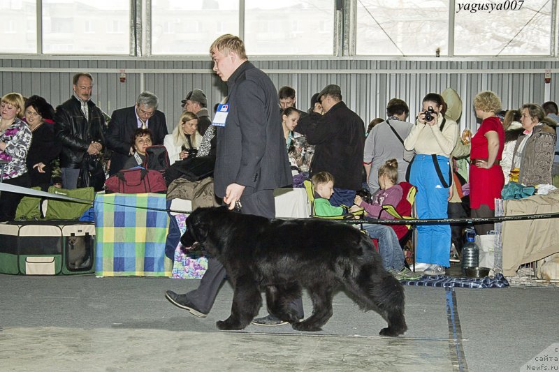 Фотография № 150145