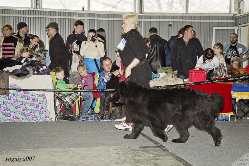 Фотография № 150149