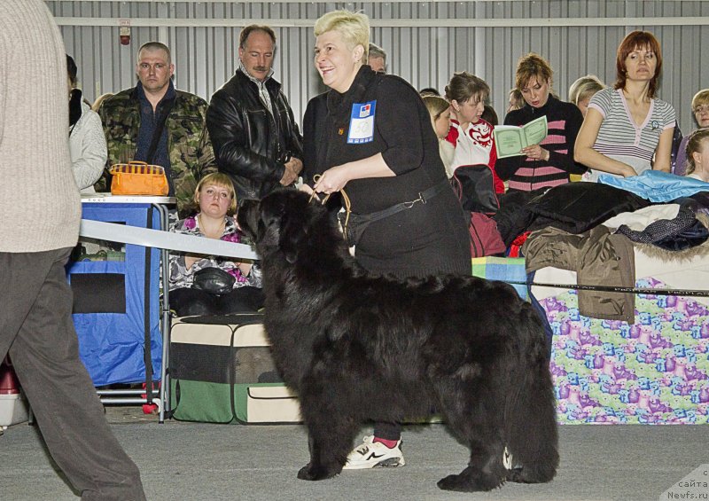 Фотография № 150150