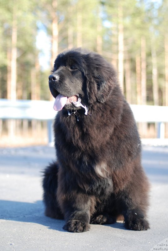 Фотография № 150174