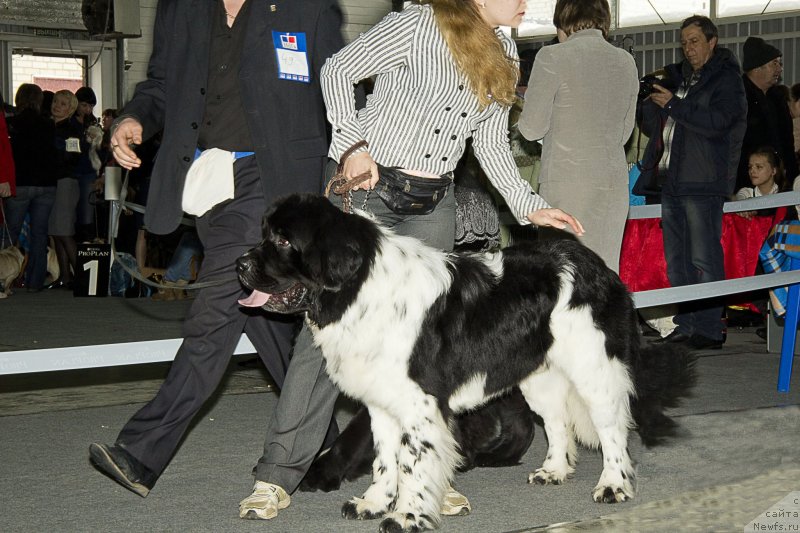 Фотография № 150215