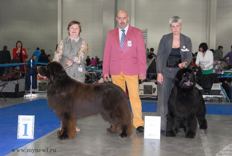 Фотография № 150257