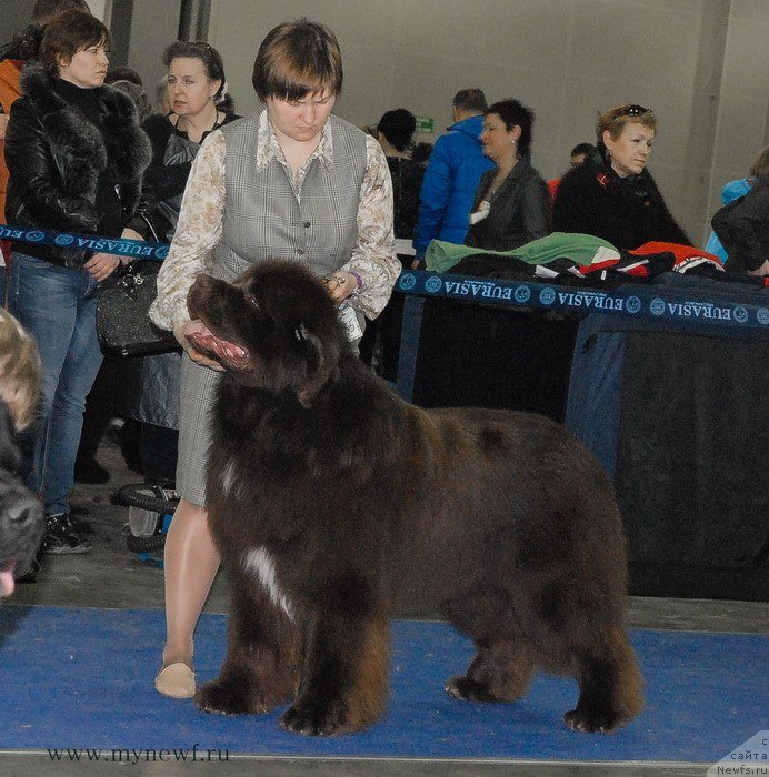 Фотография № 150258