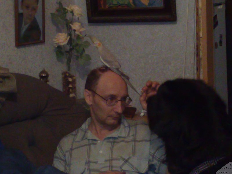 Фото: Igor' Grechishkin (Игорь Гречишкин)