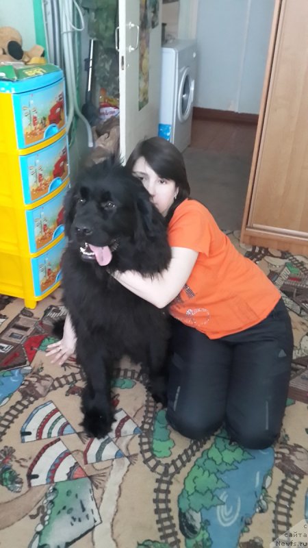 Фотография № 150387