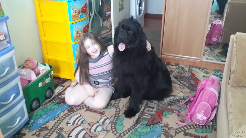 Фотография № 150388