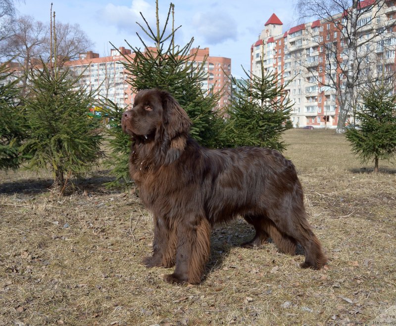 Фотография № 150400