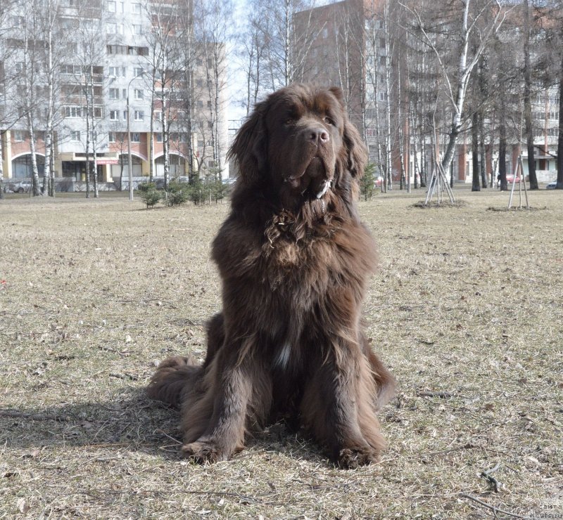 Фотография № 150402