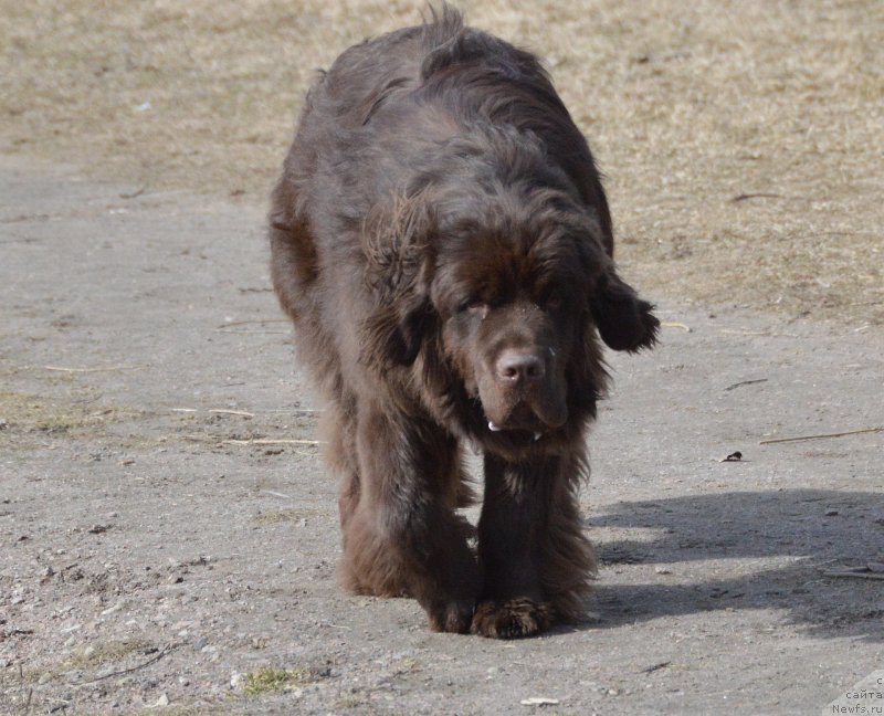 Фотография № 150403