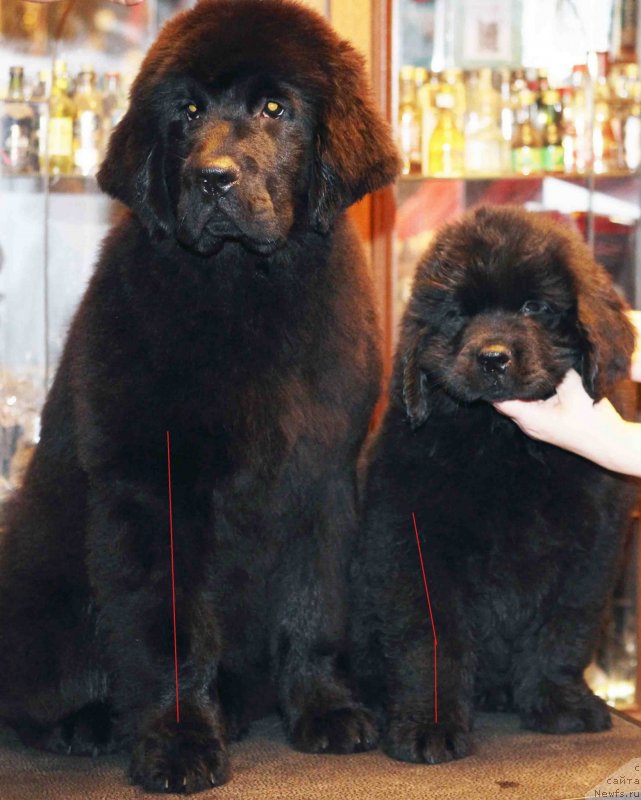 Фотография № 150436