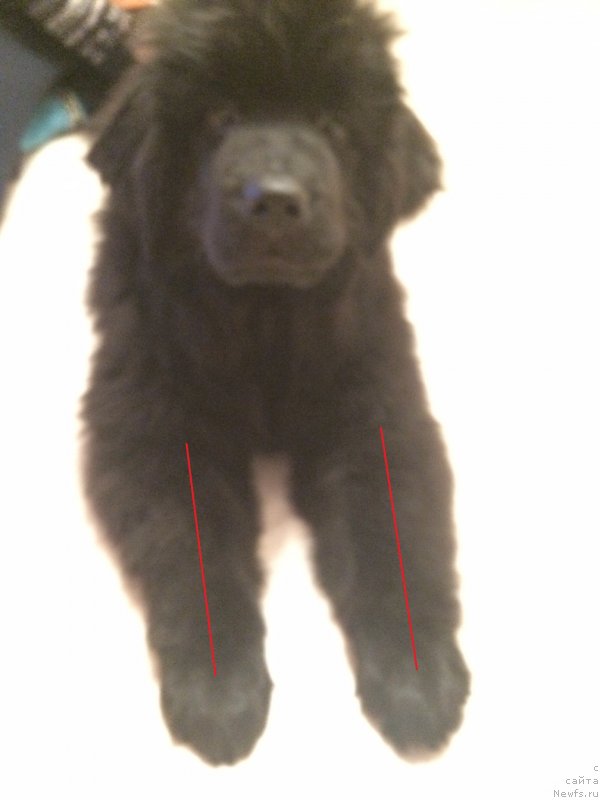 Фотография № 150437