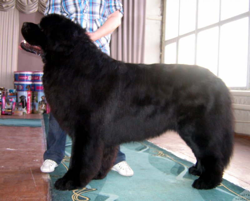 Фотография № 150469