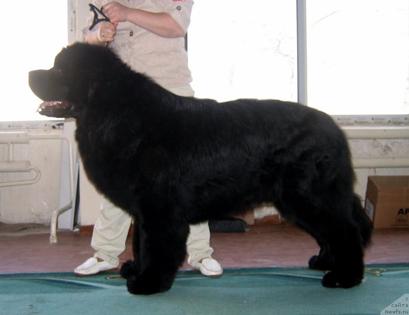 Фотография № 150470