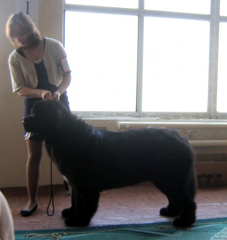 Фотография № 150471