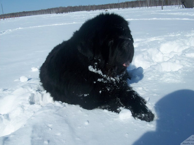 Фотография № 150472