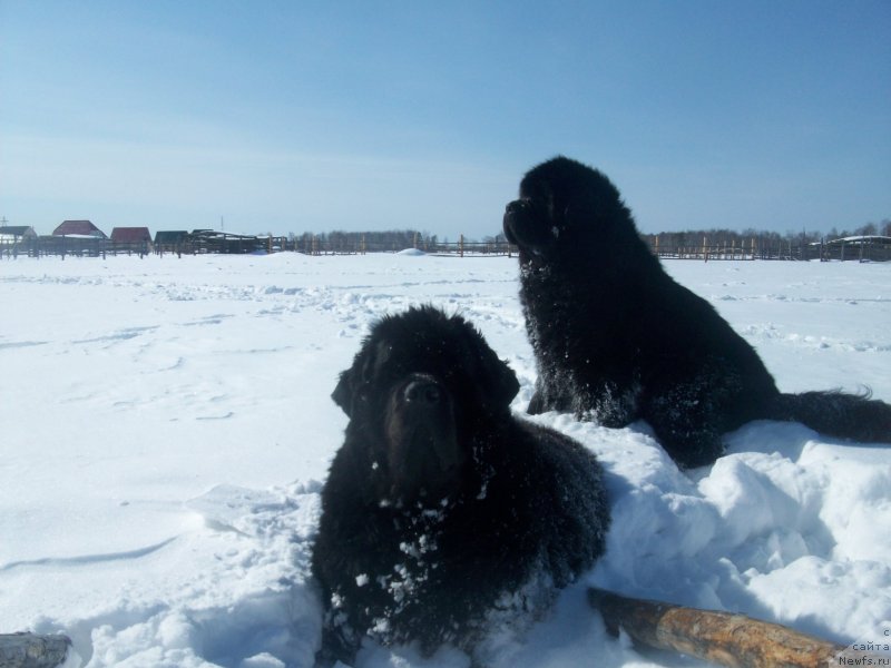 Фотография № 150479