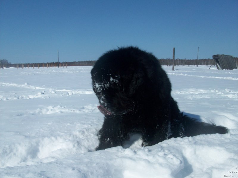 Фотография № 150482