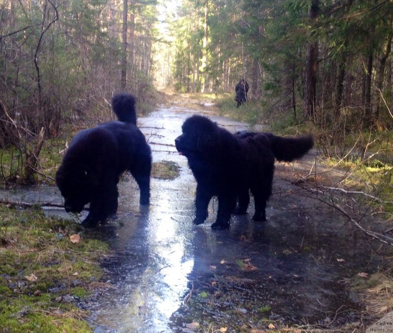 Фотография № 150512