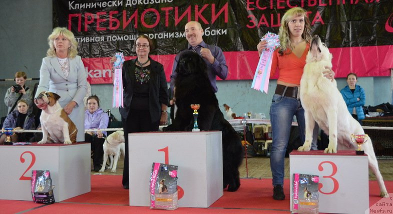 Фотография № 150524