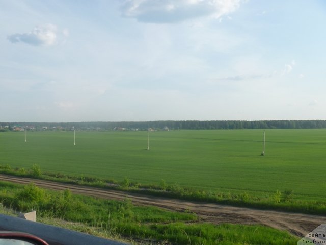 Фотография № 150530