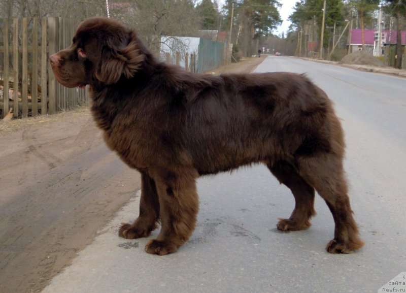 Фотография № 150548