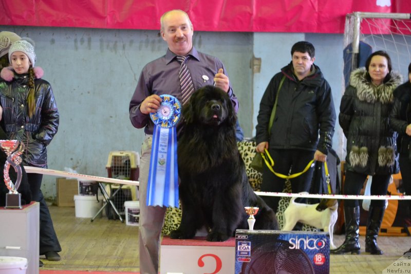 Фотография № 150557