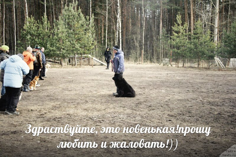 Фото: Бегущая по волнам Ринг оф Фаер