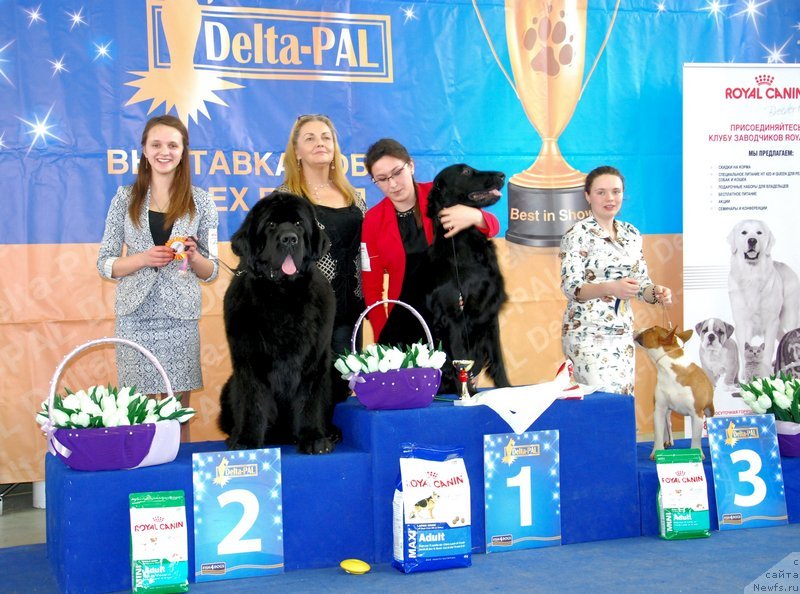 Фотография № 150599