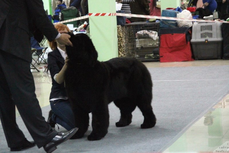 Фотография № 150617