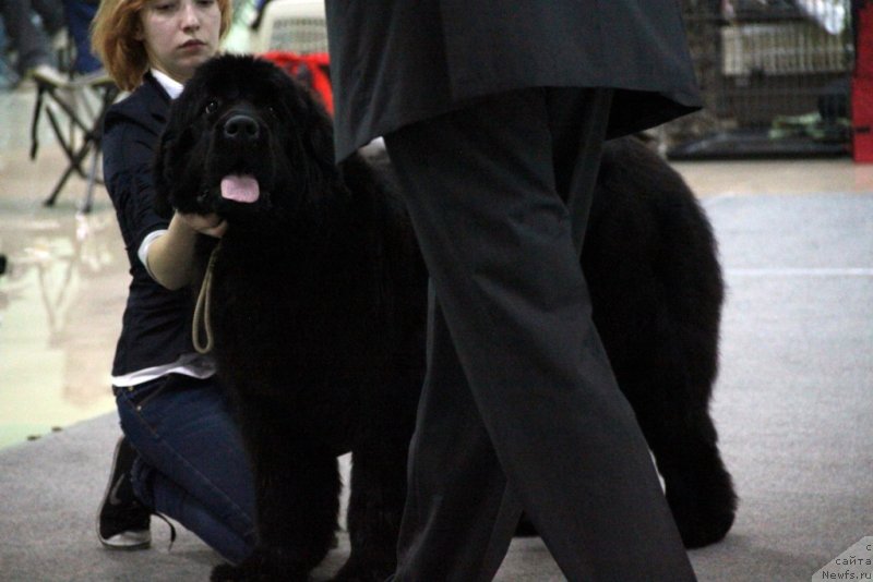 Фотография № 150618