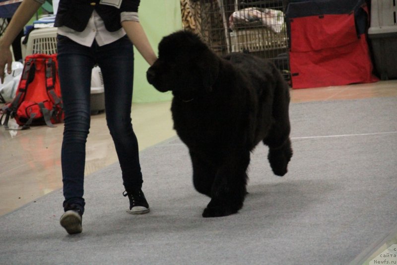 Фотография № 150619