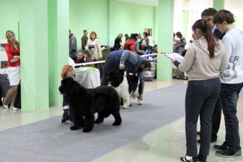 Фотография № 150620