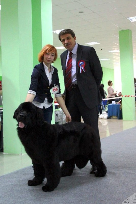 Фотография № 150630