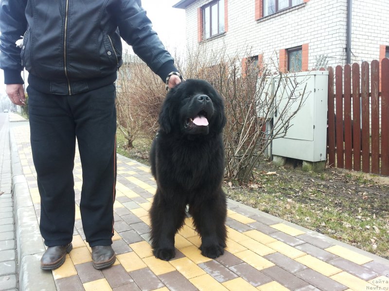 Фотография № 150640