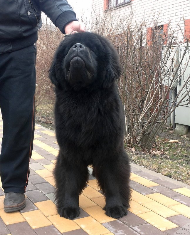 Фотография № 150642