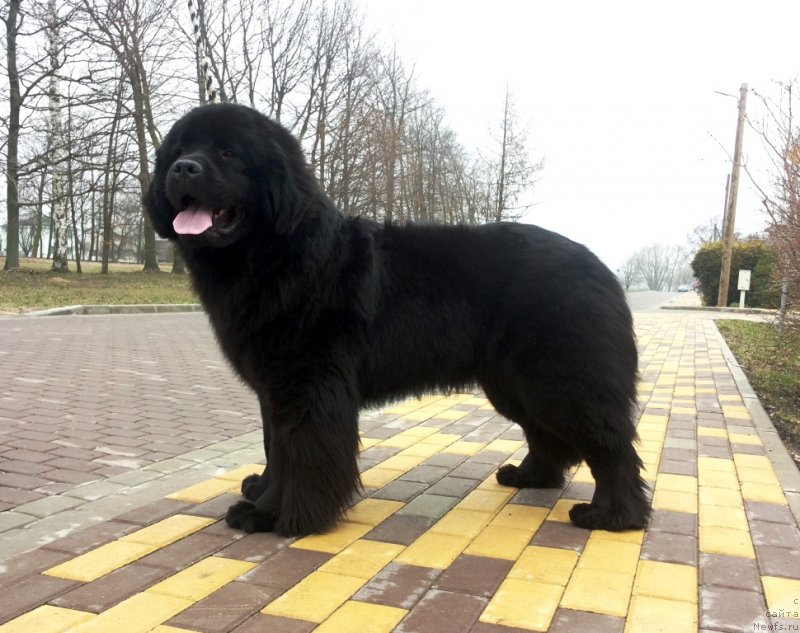 Фотография № 150643