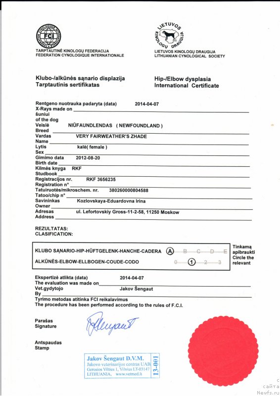 Фотография № 150676