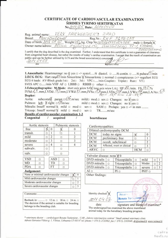 Фото: ньюфаундленд Very Fairweathers Zhade