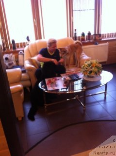 Фото: ньюфаундленд Eka Kralja s Berega Dona (Эка Краля с Берега Дона)