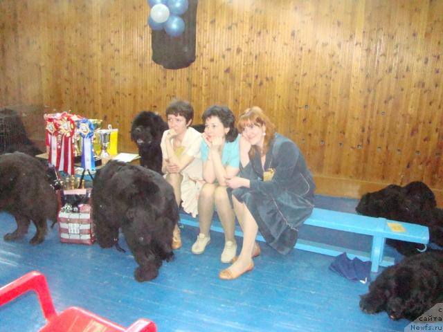 Фотография № 15069