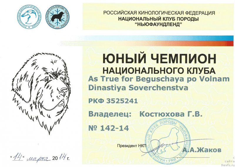 Фотография № 150690