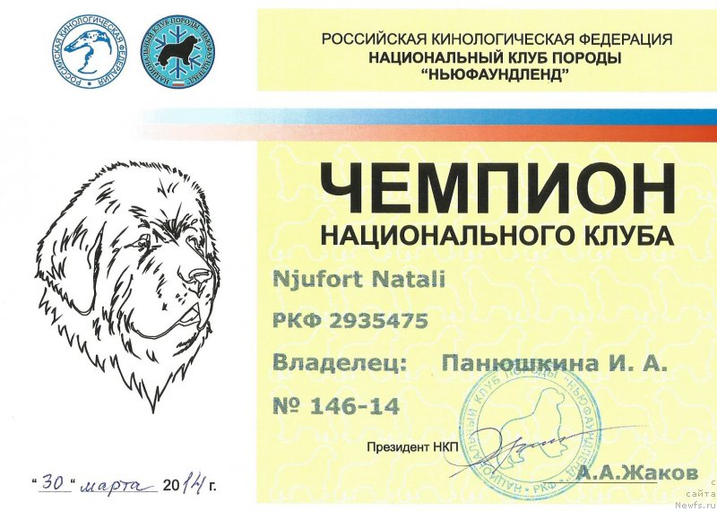 Фотография № 150694