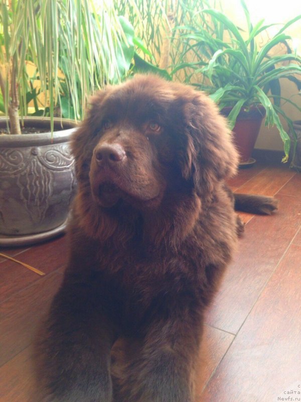 Фото: Гектор Троянский