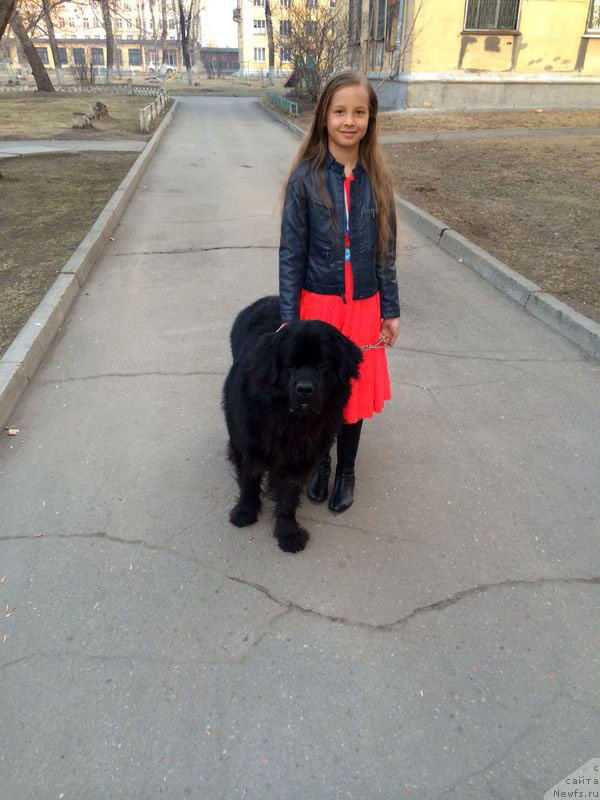 Фотография № 150775