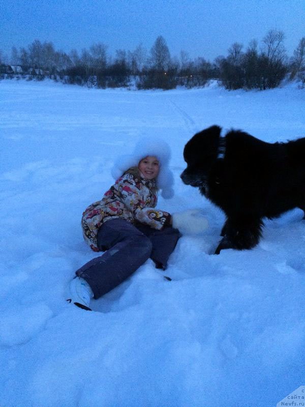 Фотография № 150779