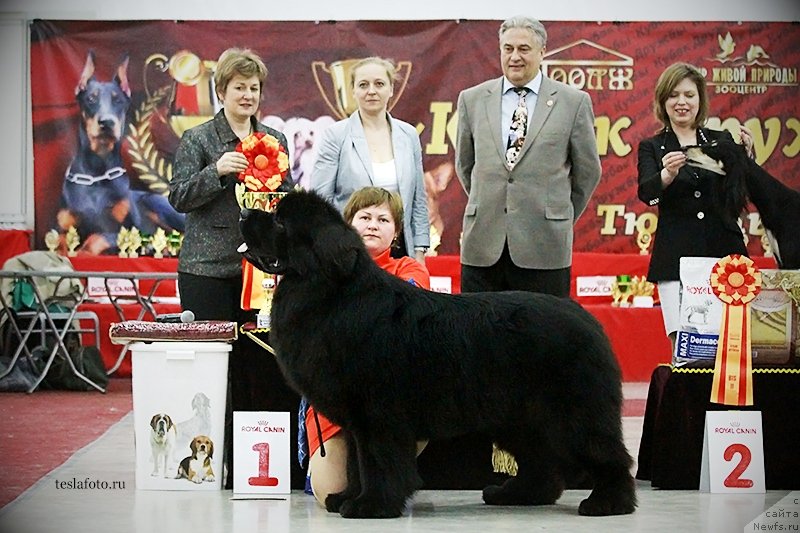 Фотография № 150822