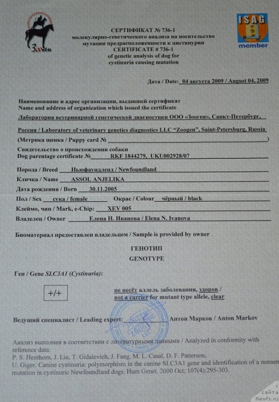 Фотография № 150828